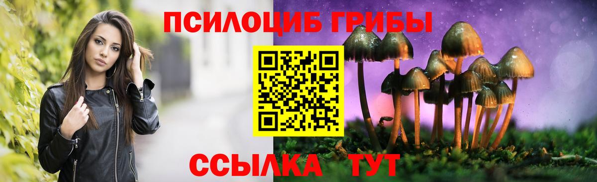 Псилоцибиновые грибы Cubensis Саров